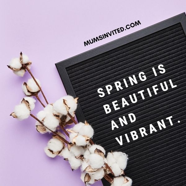 180+ Spring Letter Board Quotes - Mums Invited