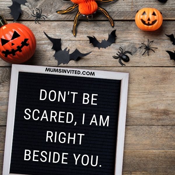 129 Boo-tiful & Spooky Halloween Letter Board Quotes to Try This Year ...