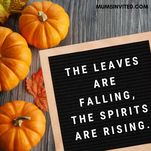 129 Boo-tiful & Spooky Halloween Letter Board Quotes to Try This Year ...