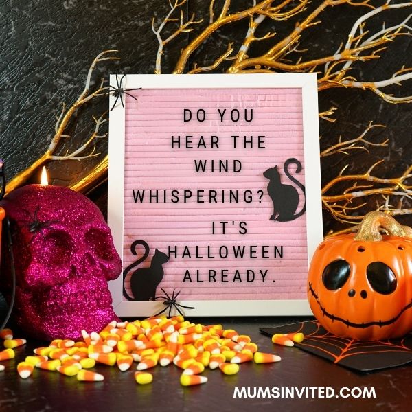 129 Boo-tiful & Spooky Halloween Letter Board Quotes to Try This Year ...